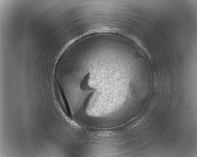 X0000054380837200508191910