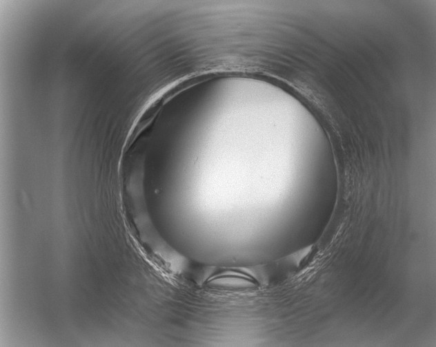 X0000054380838200508191910