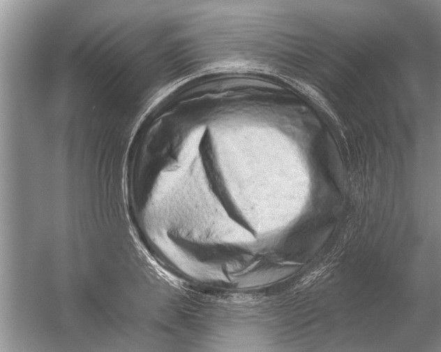 X0000054380839200508191910