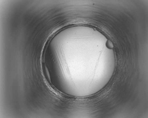 X0000054380840200508191910