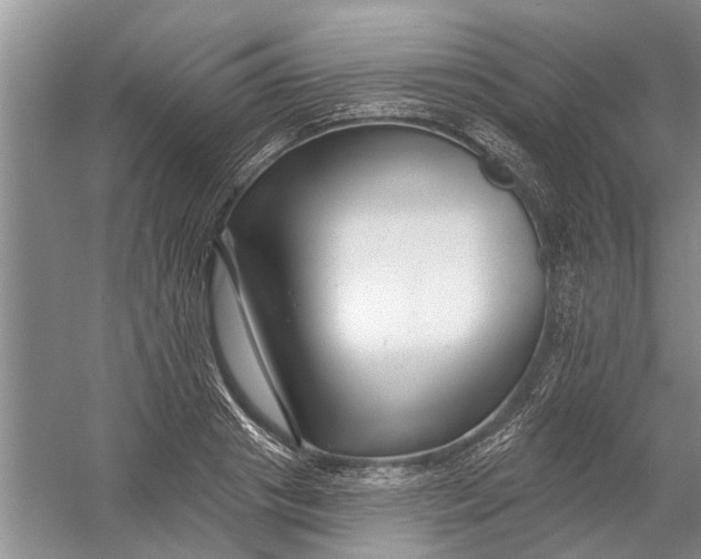 X0000054380841200508191910