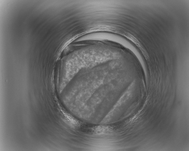 X0000054380842200508191910