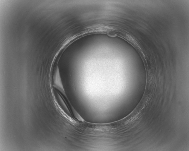 X0000054380843200508191910