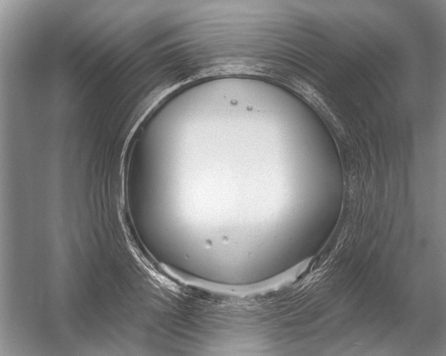 X0000054380844200508191910