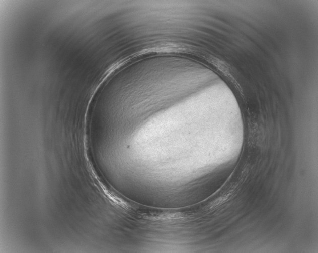 X0000054380845200508191910