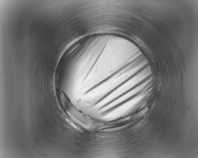 X0000054380846200508191910