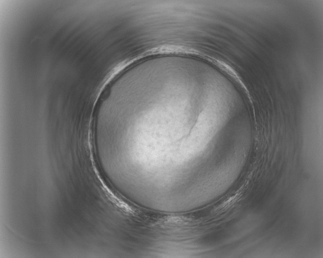 X0000054380847200508191910