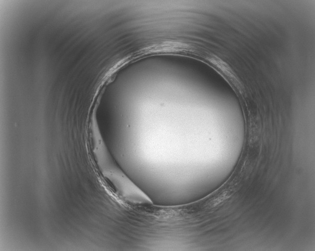 X0000054380850200508191911