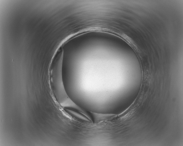 X0000054380854200508191911