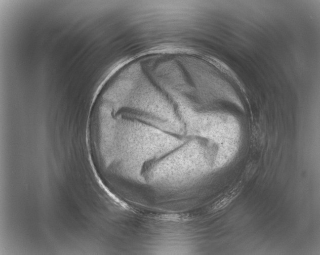 X0000054380855200508191911