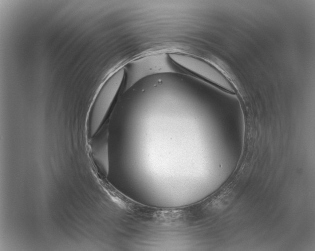 X0000054380858200508191911