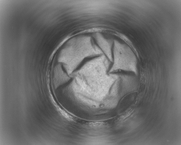 X0000054380859200508191911