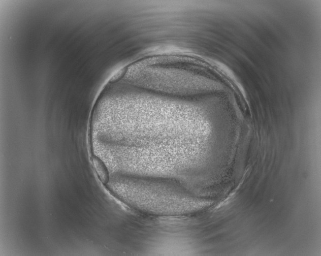 X0000054380863200508191911