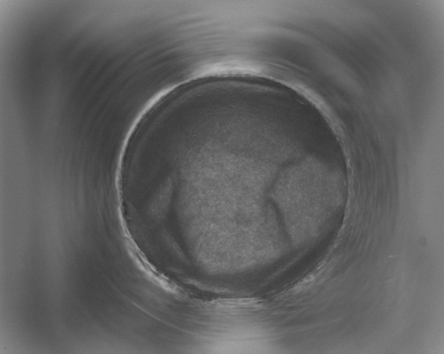 X0000054380864200508191911