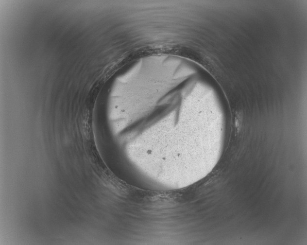 X0000054380867200508191910