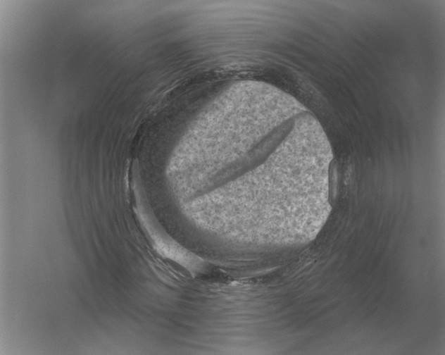 X0000054380868200508191910