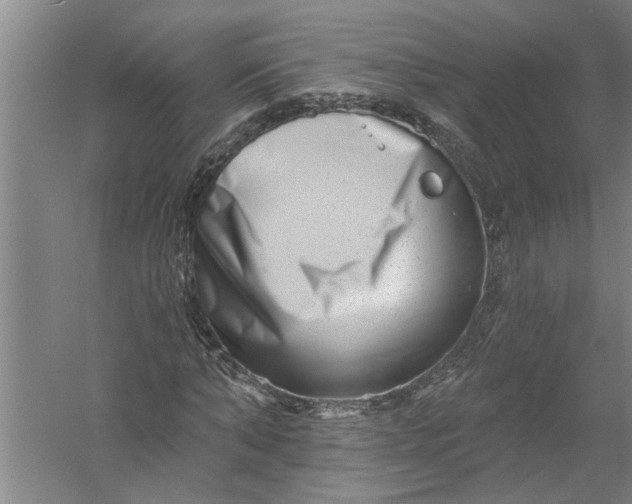 X0000054380870200508191910