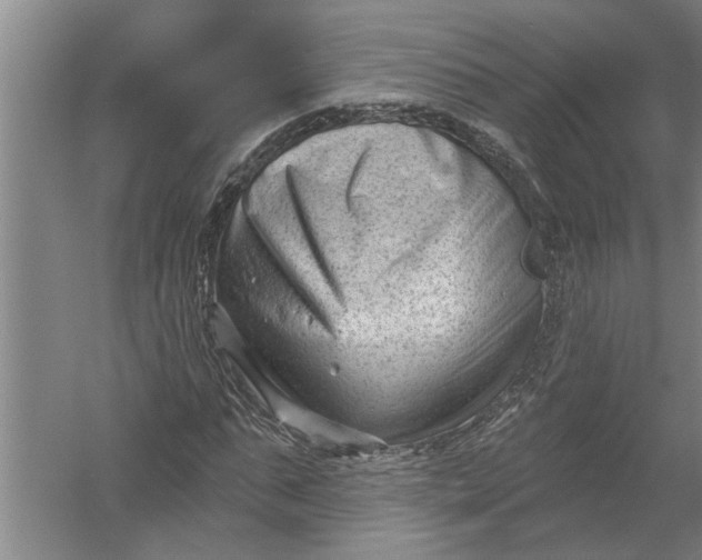 X0000054380871200508191910