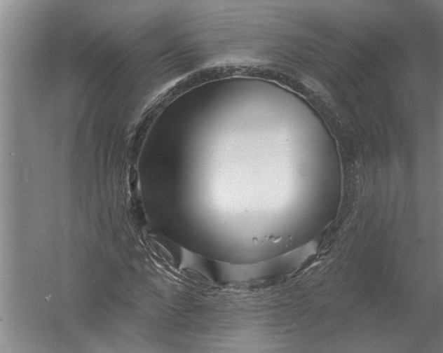 X0000054380872200508191910