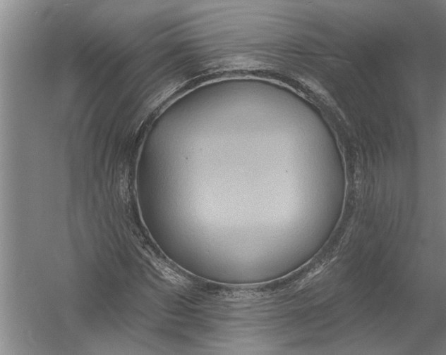 X0000054380873200508191910