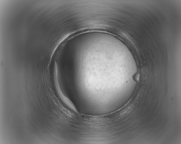 X0000054380875200508191910