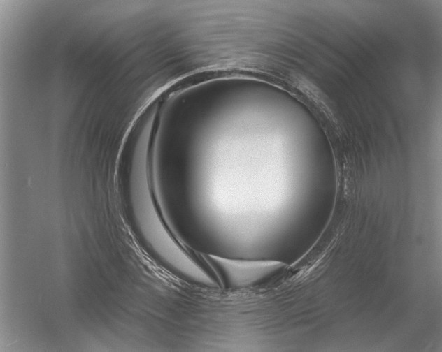 X0000054380876200508191910