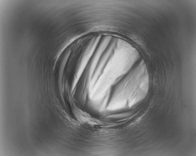 X0000054380877200508191910