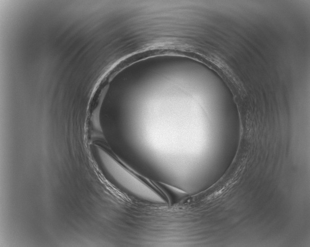 X0000054380880200508191910