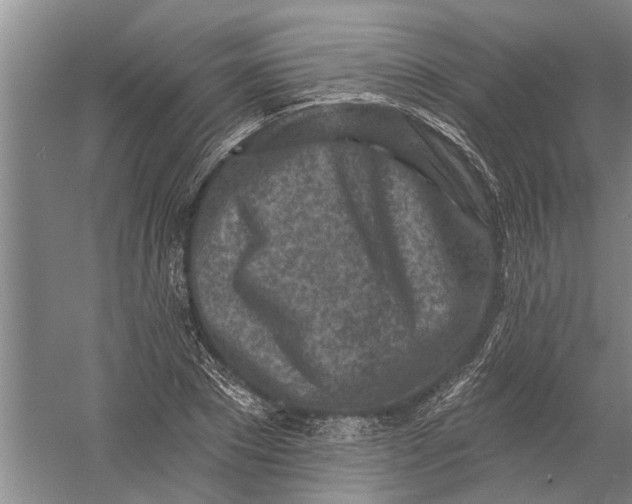 X0000054380881200508191910