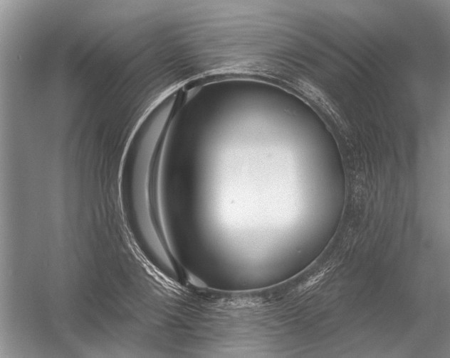 X0000054380884200508191910