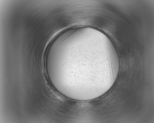 X0000054380886200508191910