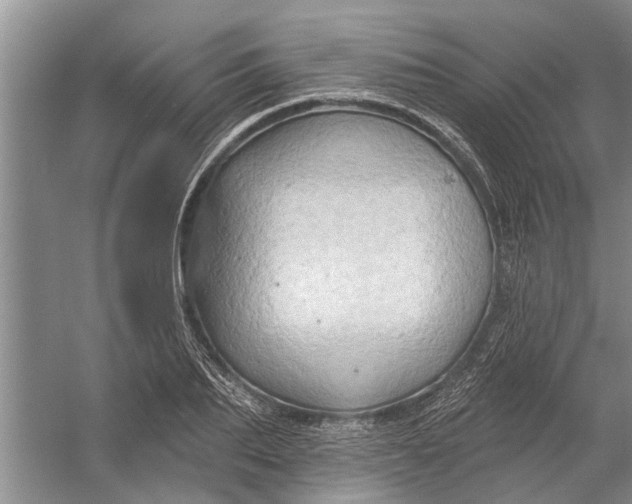 X0000054380887200508191910