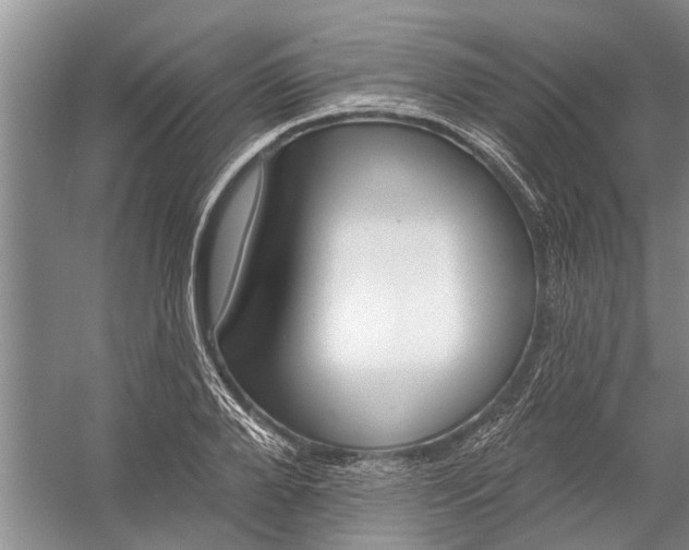 X0000054380888200508191910