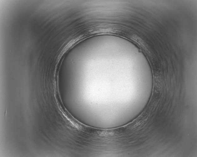 X0000054380890200508191909