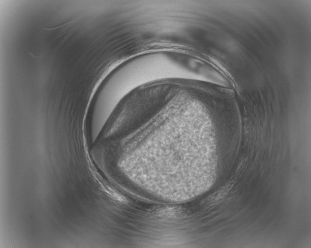 X0000054380891200508191909