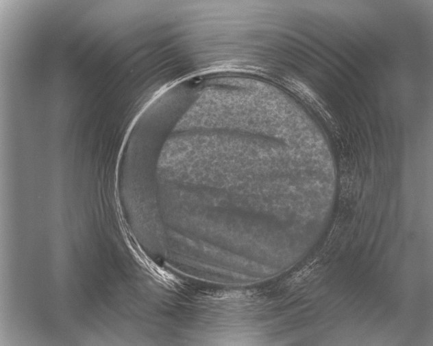 X0000054380892200508191909