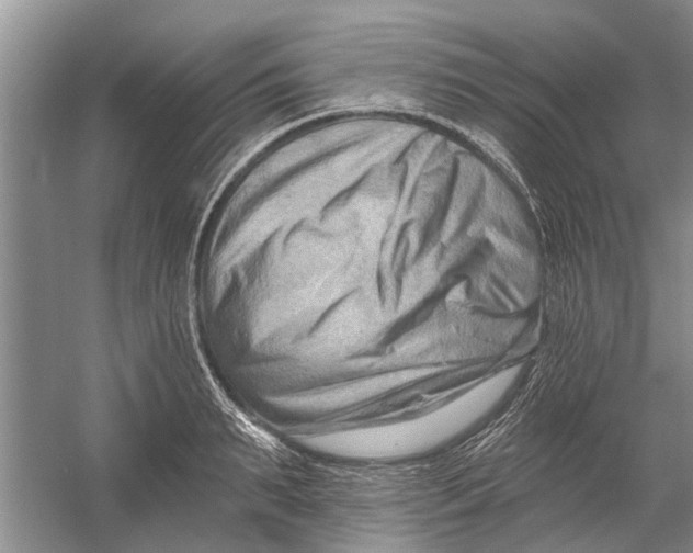 X0000054380895200508191909