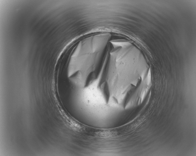 X0000054380896200508191909