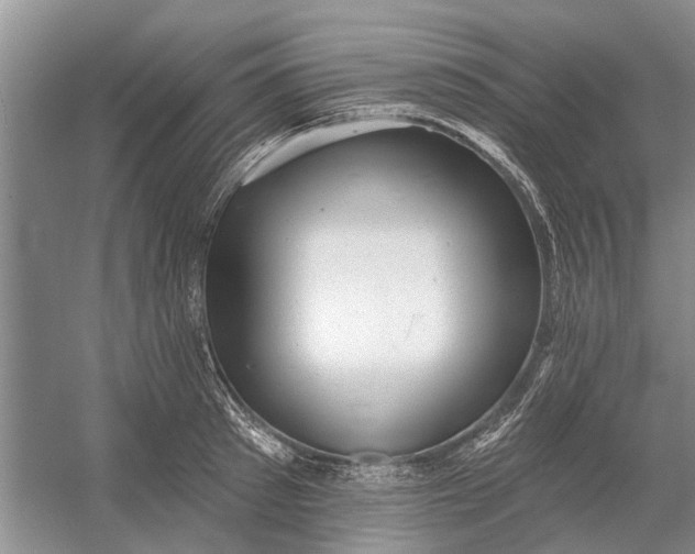 X0000054380897200508191909