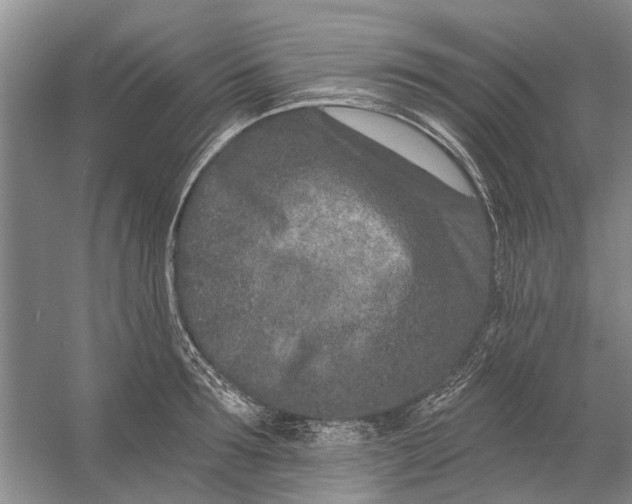 X0000054380899200508191909