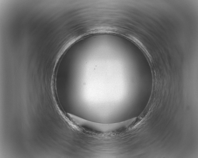 X0000054380901200508191909