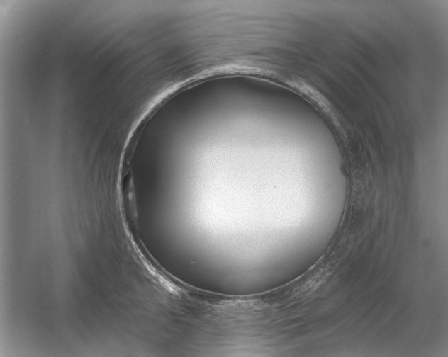 X0000054380902200508191909