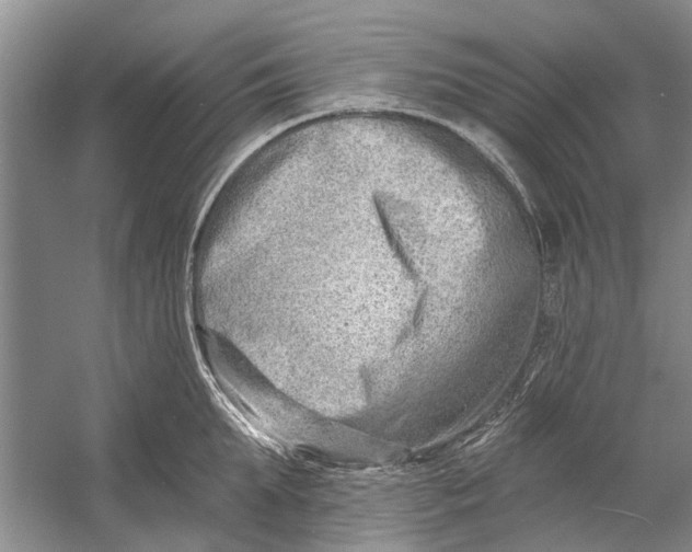 X0000054380903200508191909