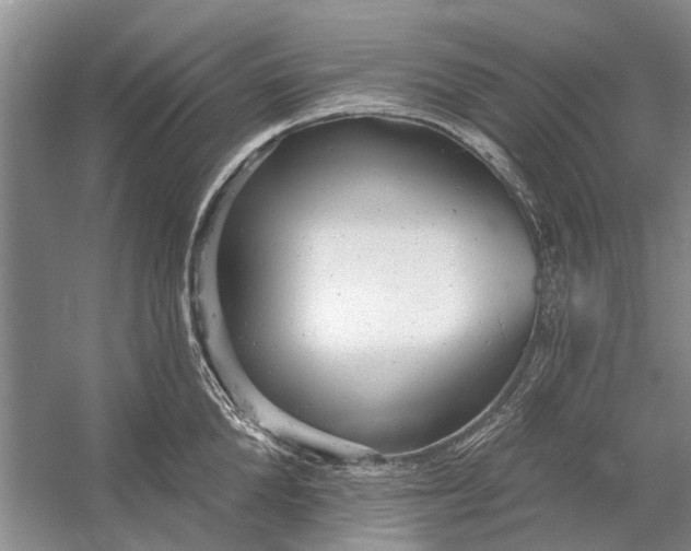 X0000054380904200508191909