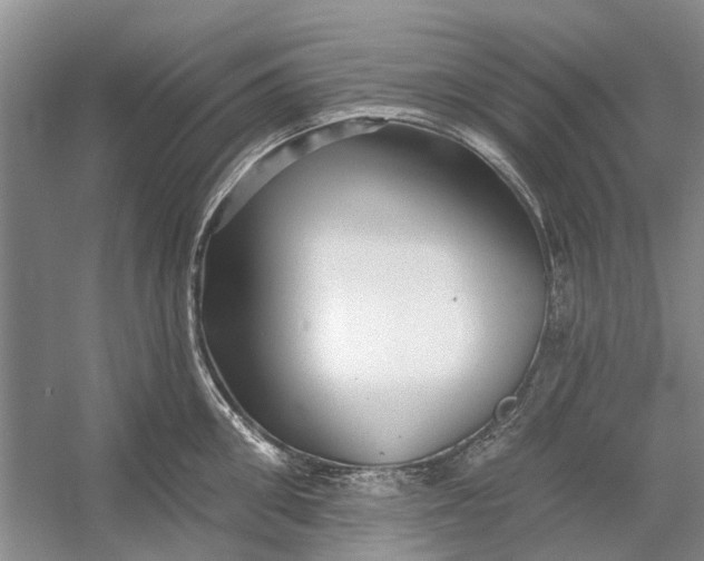 X0000054380906200508191909