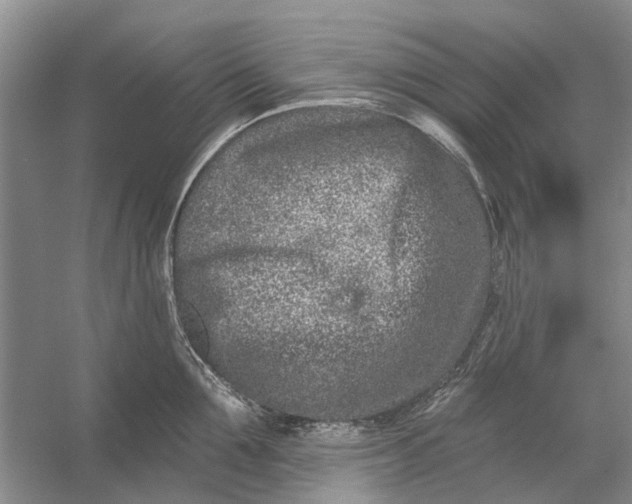 X0000054380907200508191909