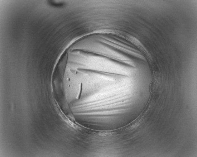 X0000054380908200508191909