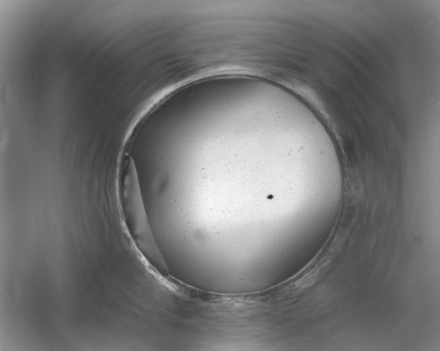 X0000054380910200508191909