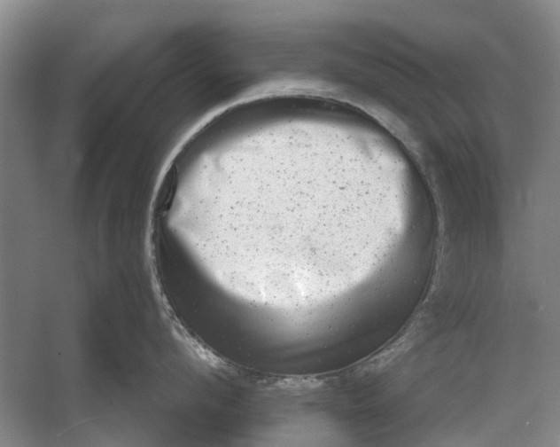 X0000054380912200508191909