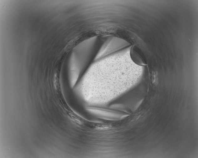 X0000054380915200508191908